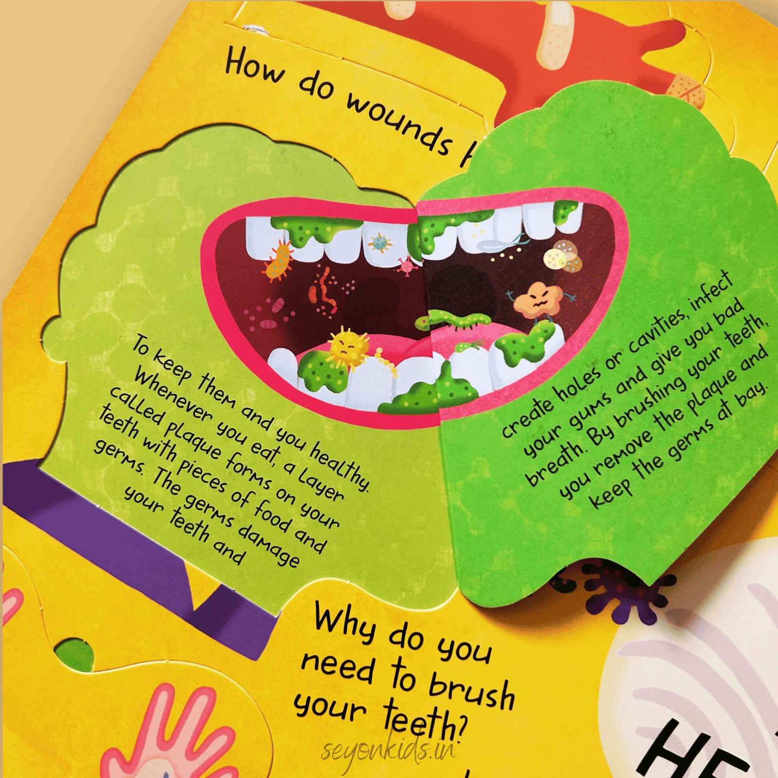 My Big Book of Answers : My Body