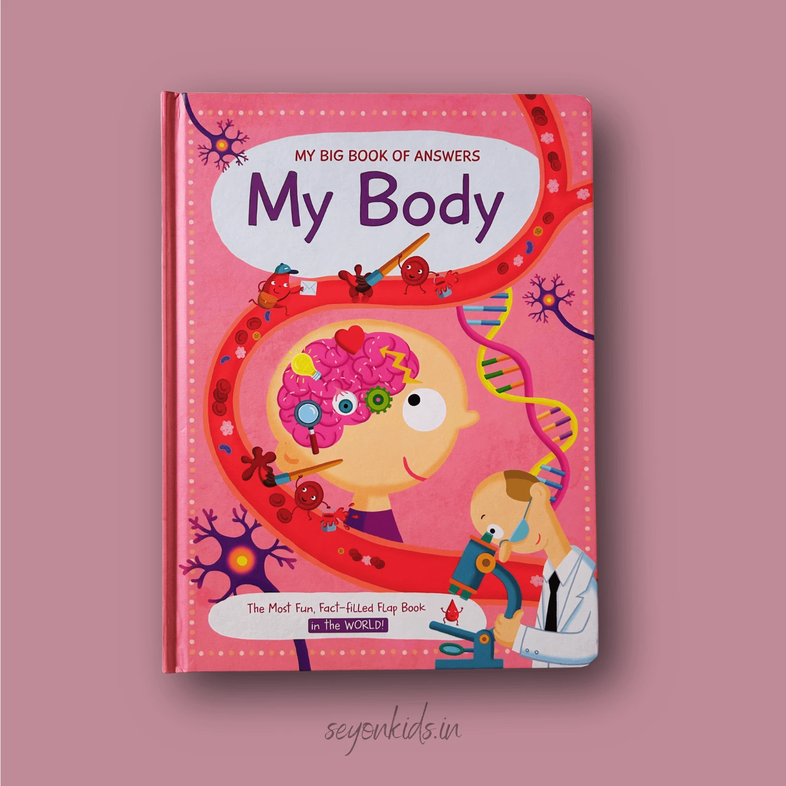 My Big Book of Answers : My Body