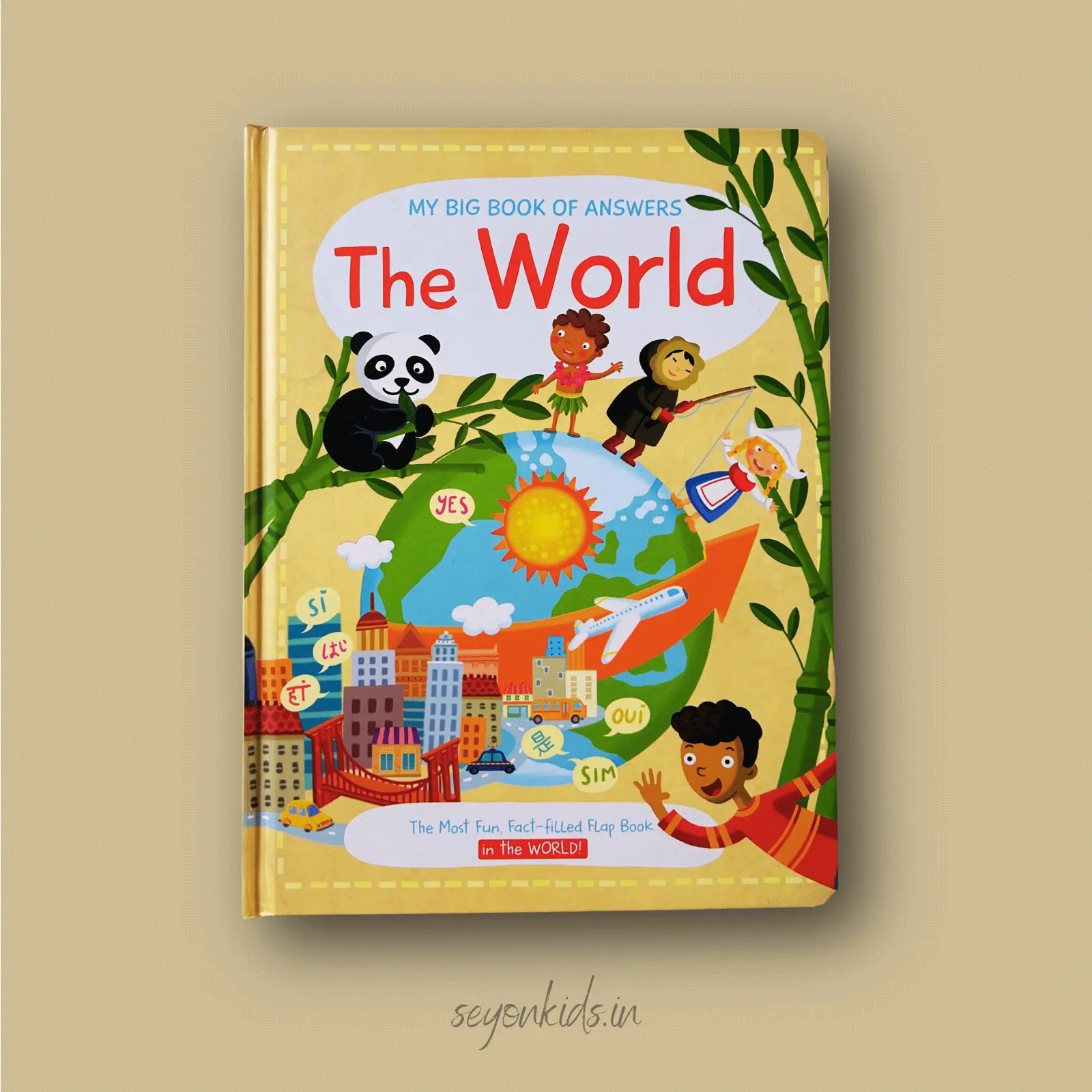 My Big Book of Answers : The World
