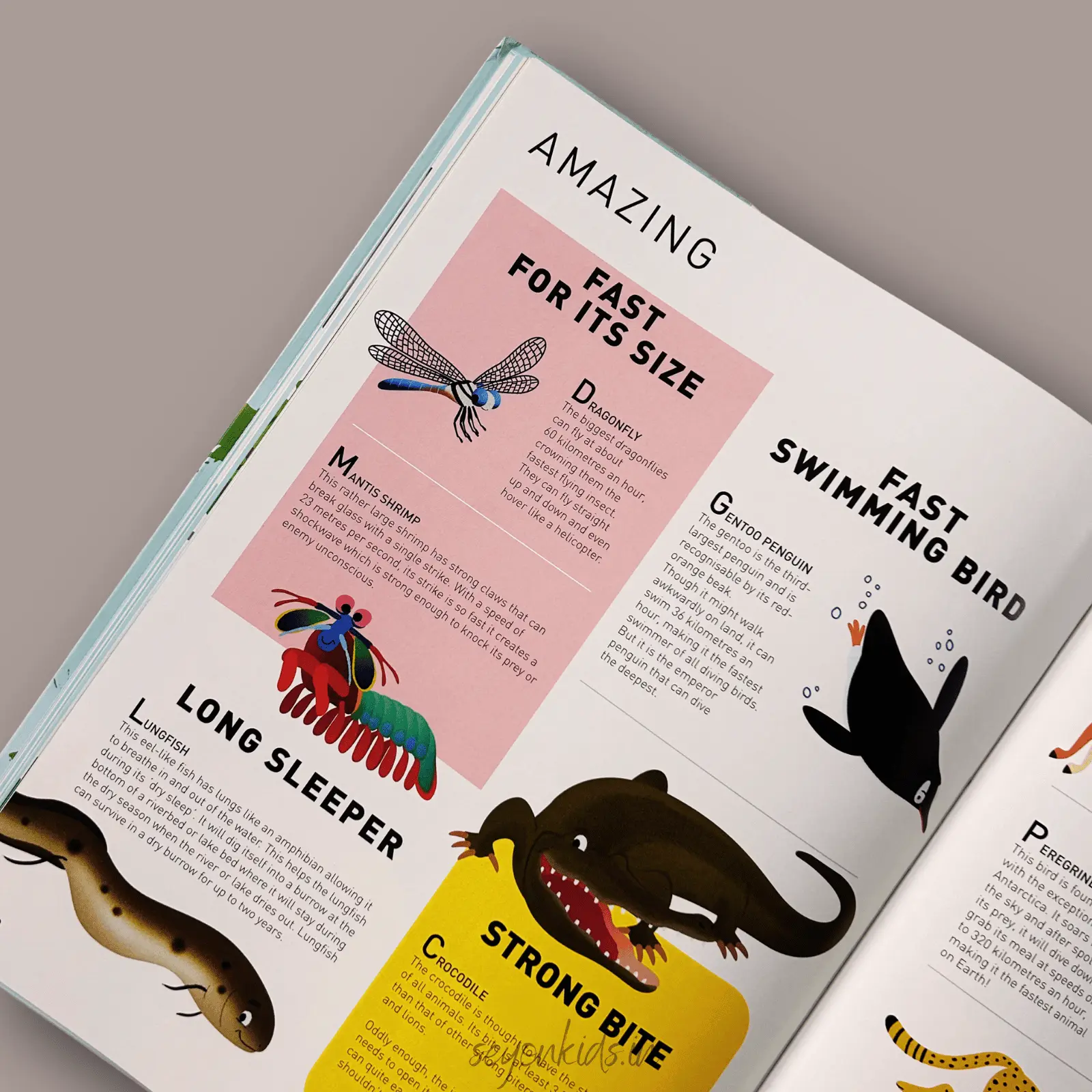 Amazing Junior Atlas : Animals