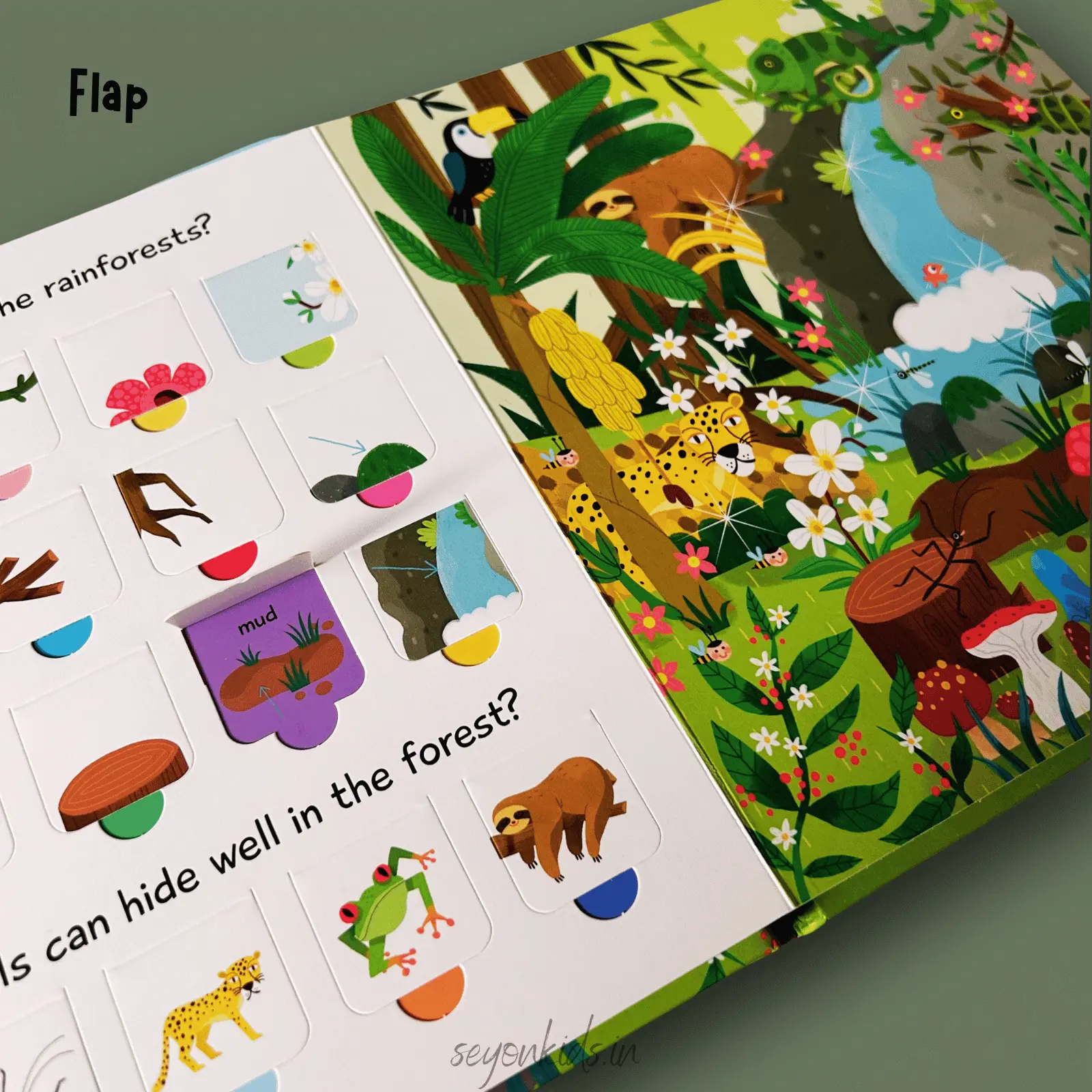 100 Flaps to Learn : Nature
