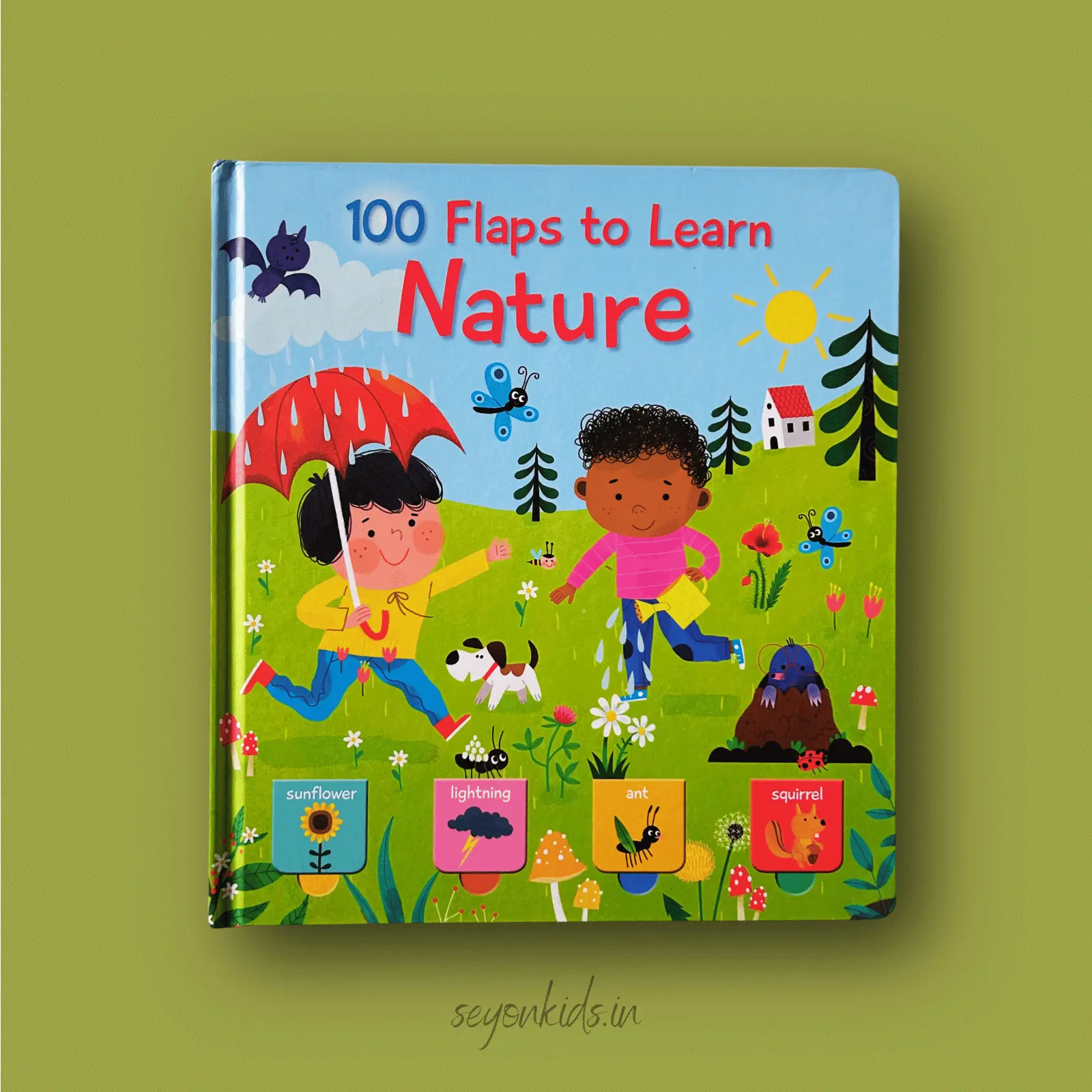 100 Flaps to Learn : Nature
