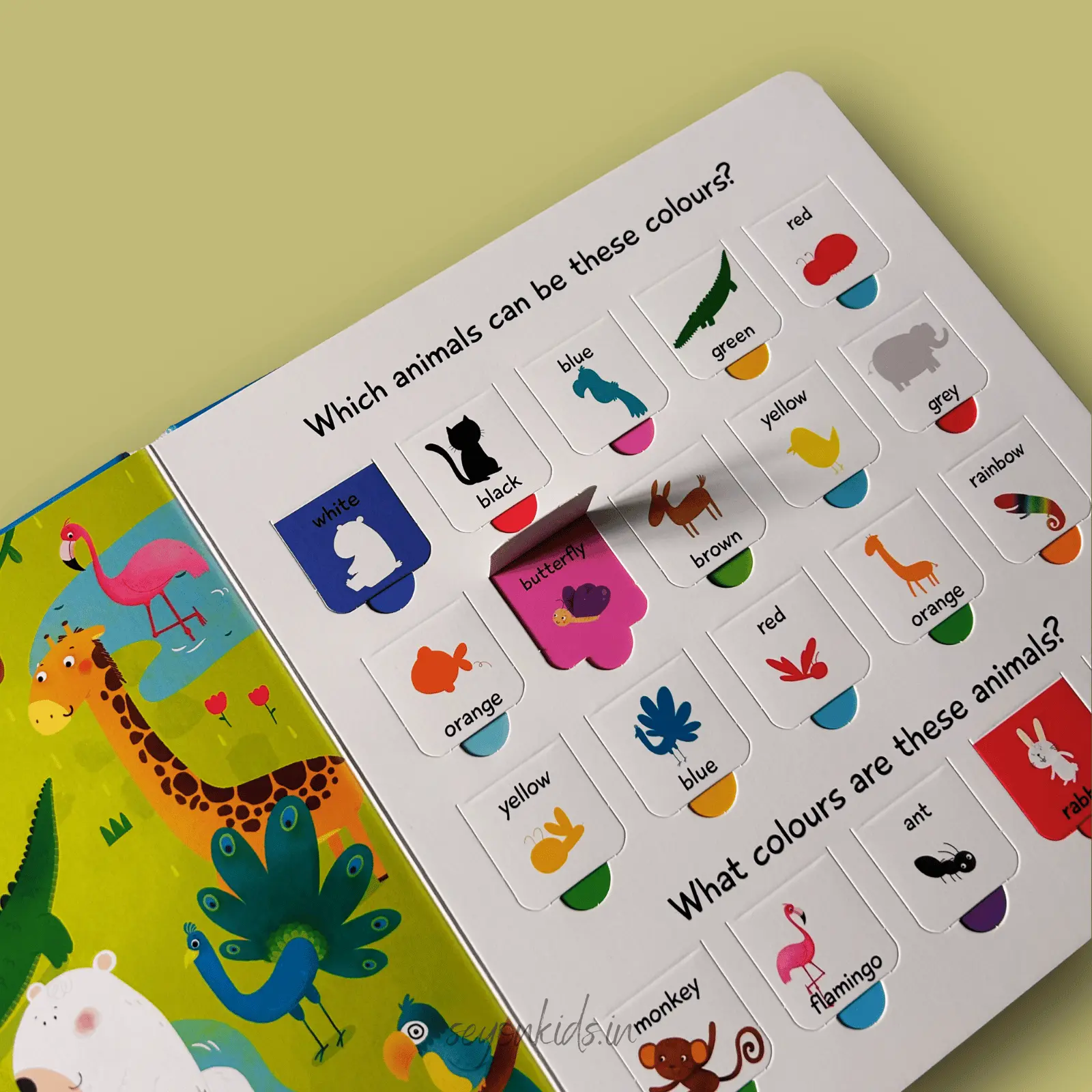 100 Flaps to Learn: Shapes & Colours