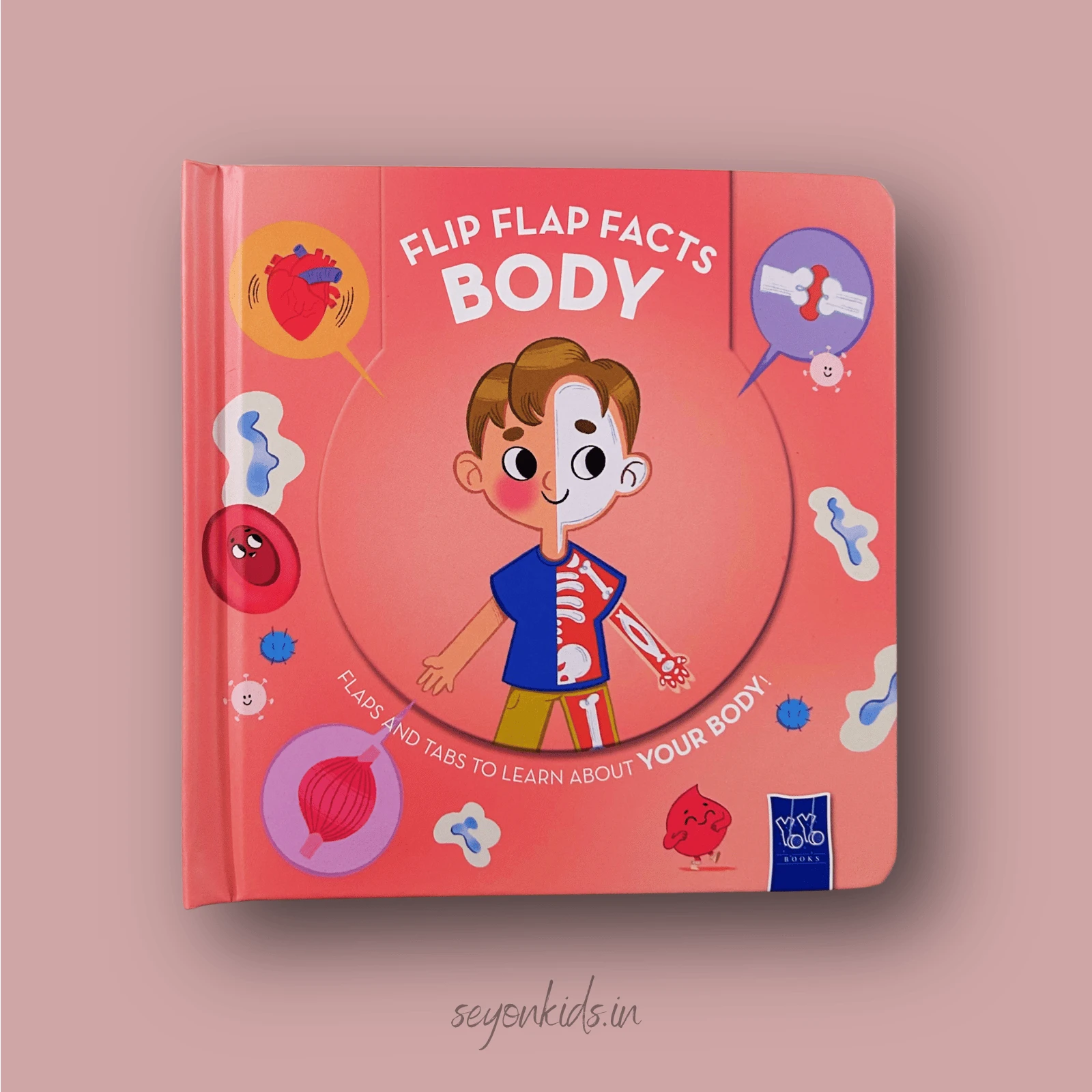 Flip-Flap Facts: Body