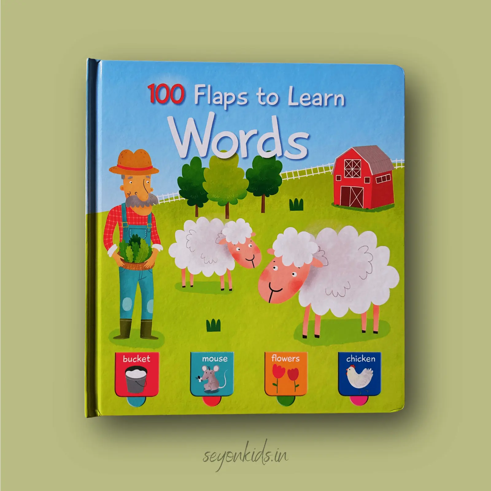 100 Flaps to Learn Words