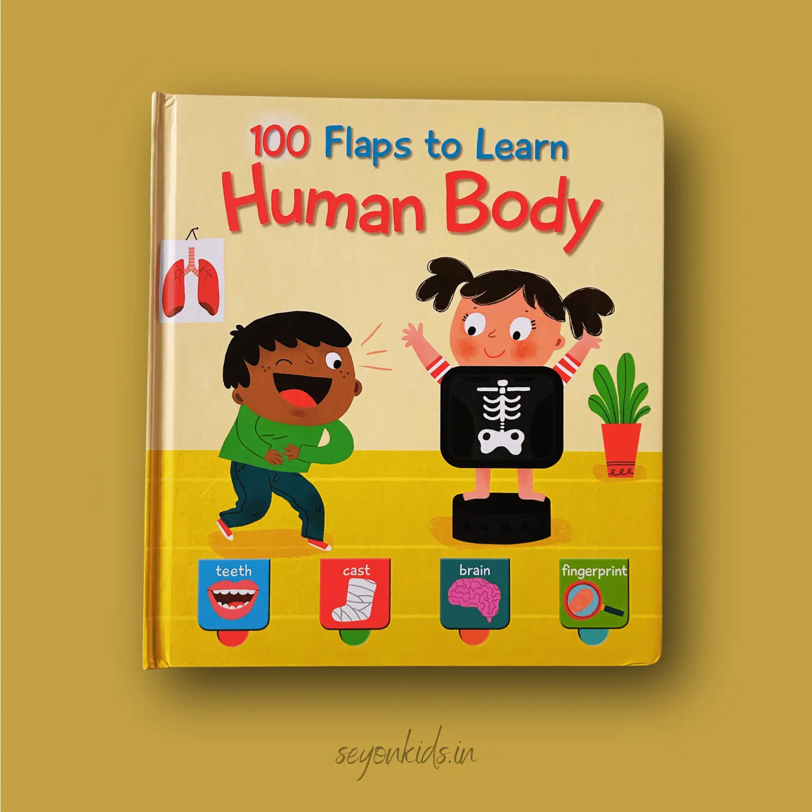 100 Flaps to Learn - Human Body