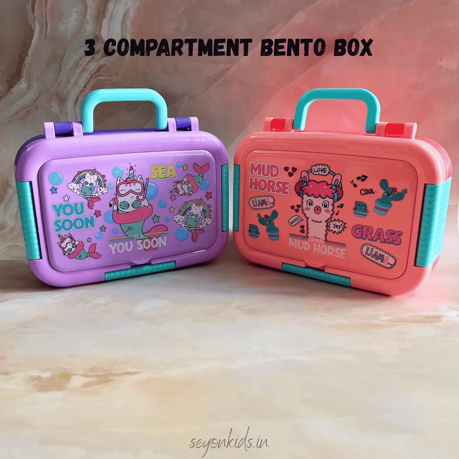 3 Compartment with Spoon