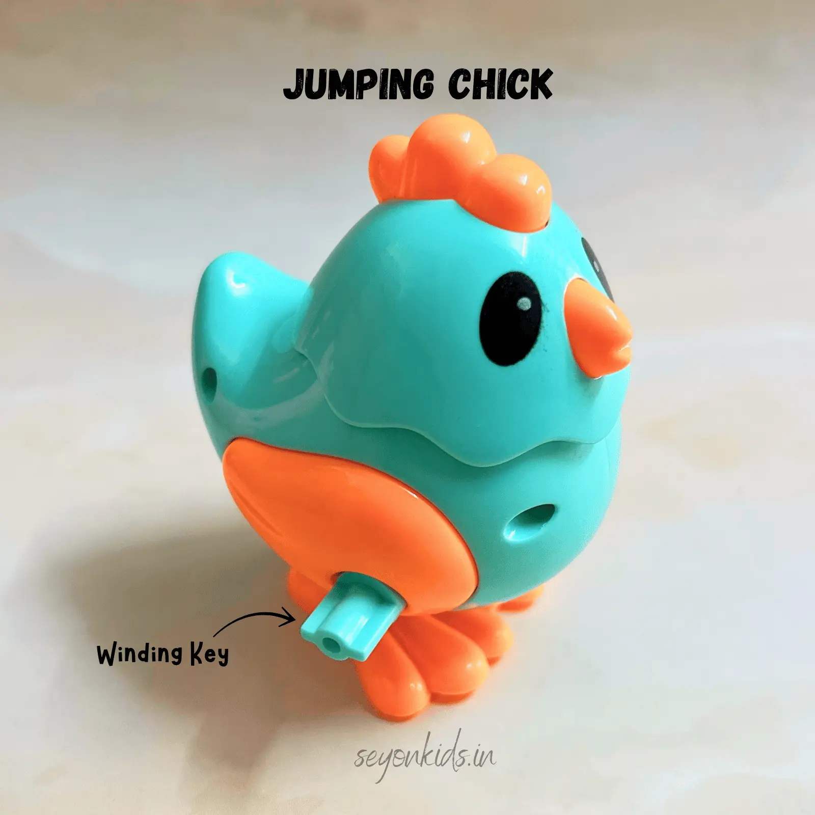 Jumping Chick & Bird