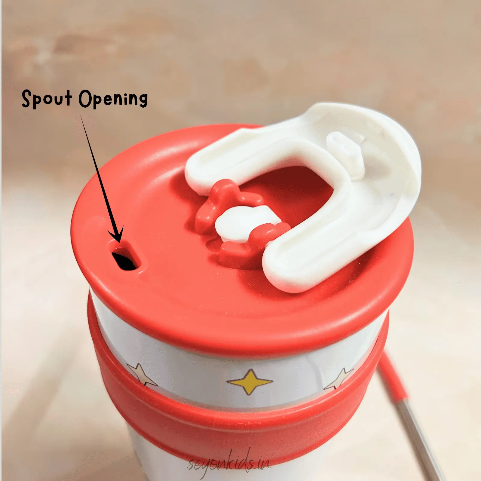 Disney tumbler with steel straw